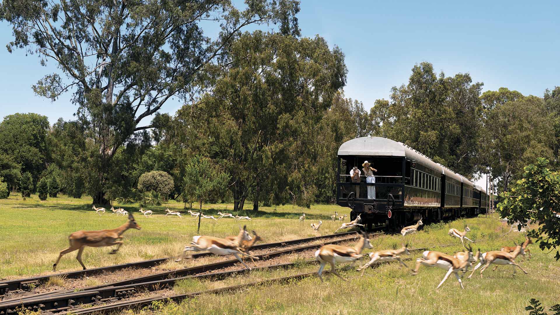 El tren más lujoso del mundo (por dentro y por fuera)